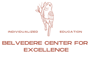 Belvedere Center for Excellence